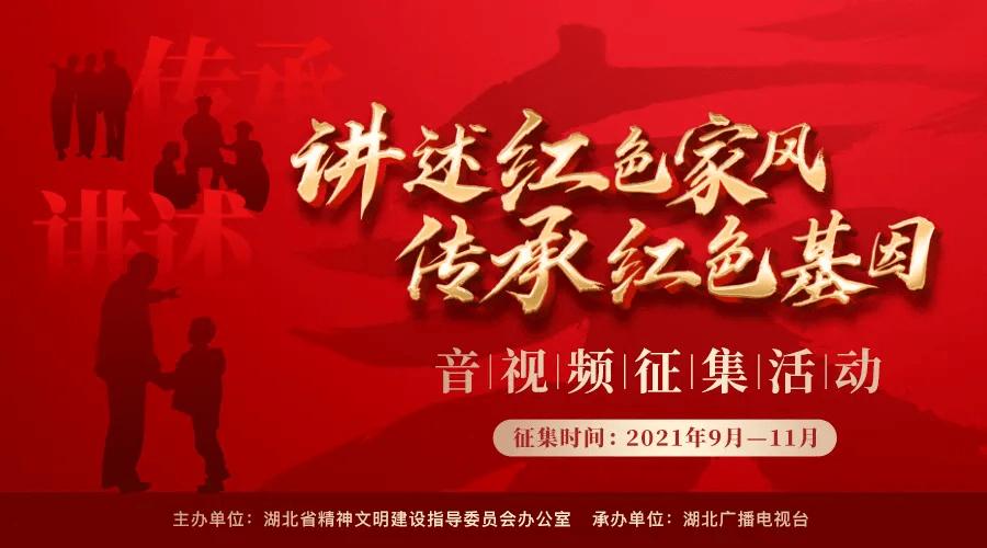 小仓鼠吃瓜子