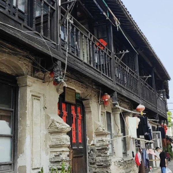 寻找火鸡